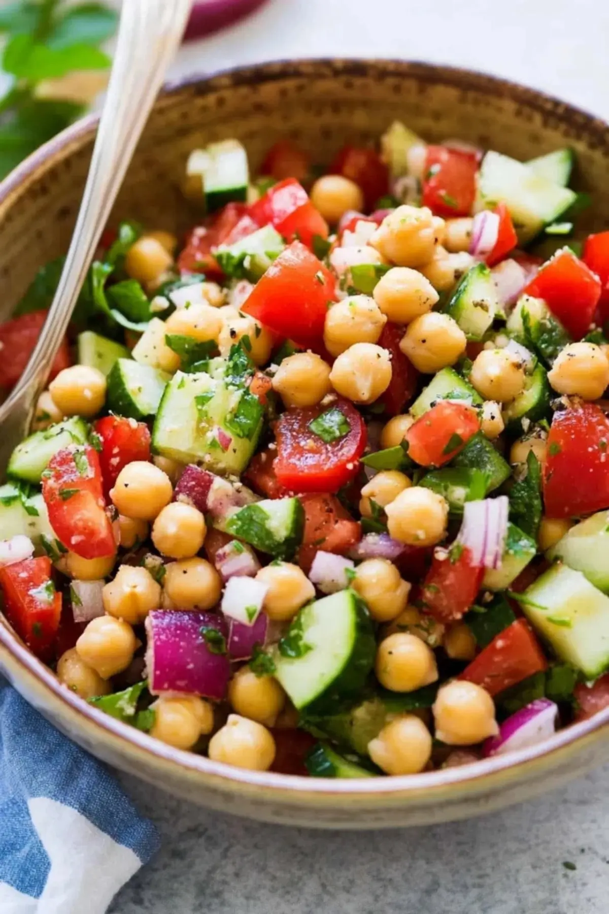 Chickpea Salad Recipe 