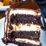 Turtle Chocolate Layer Cake