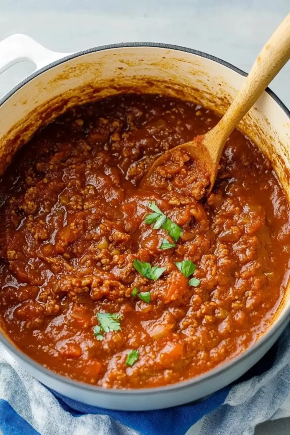 Meat Sauce