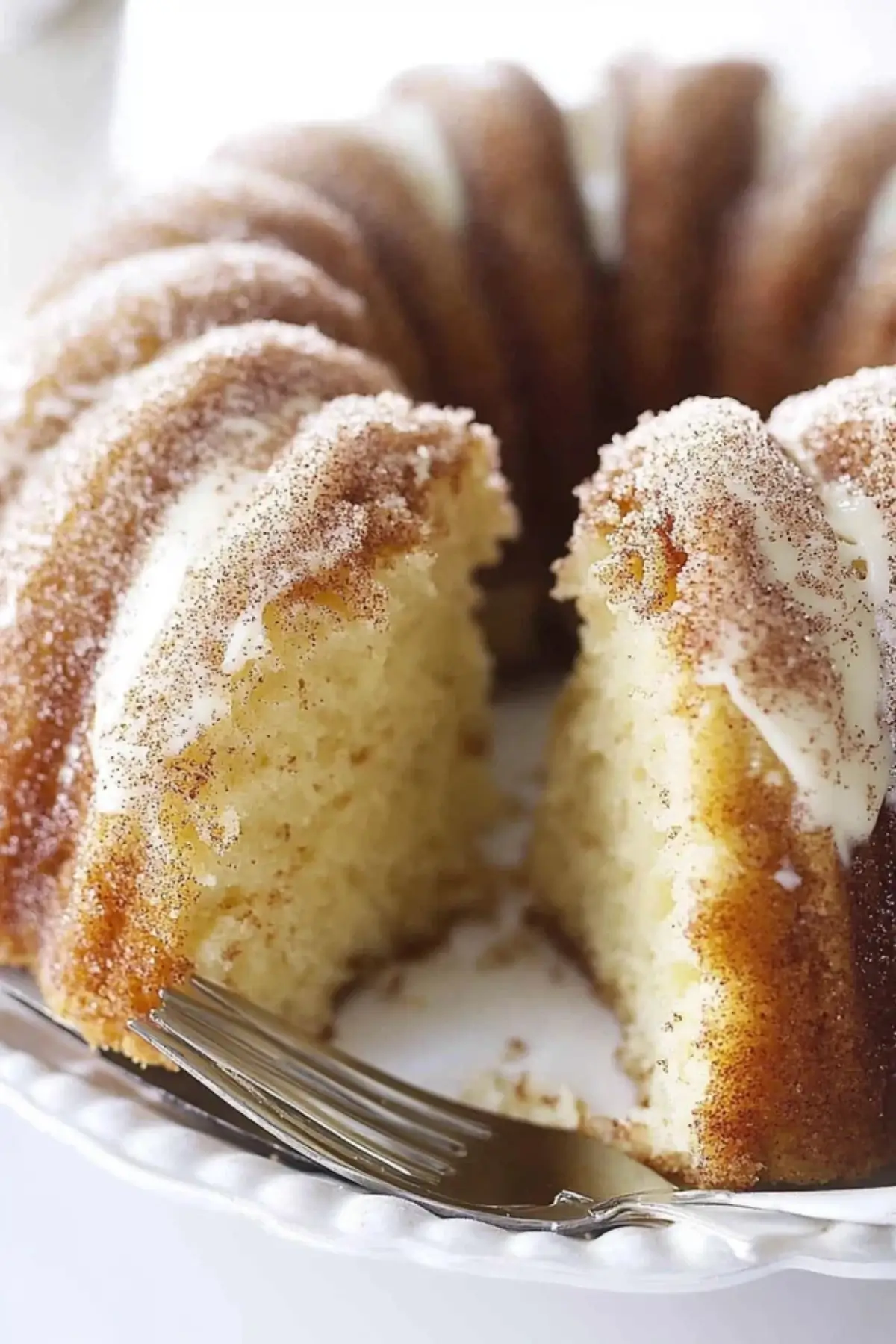 Snickerdoodle Bundt Cake