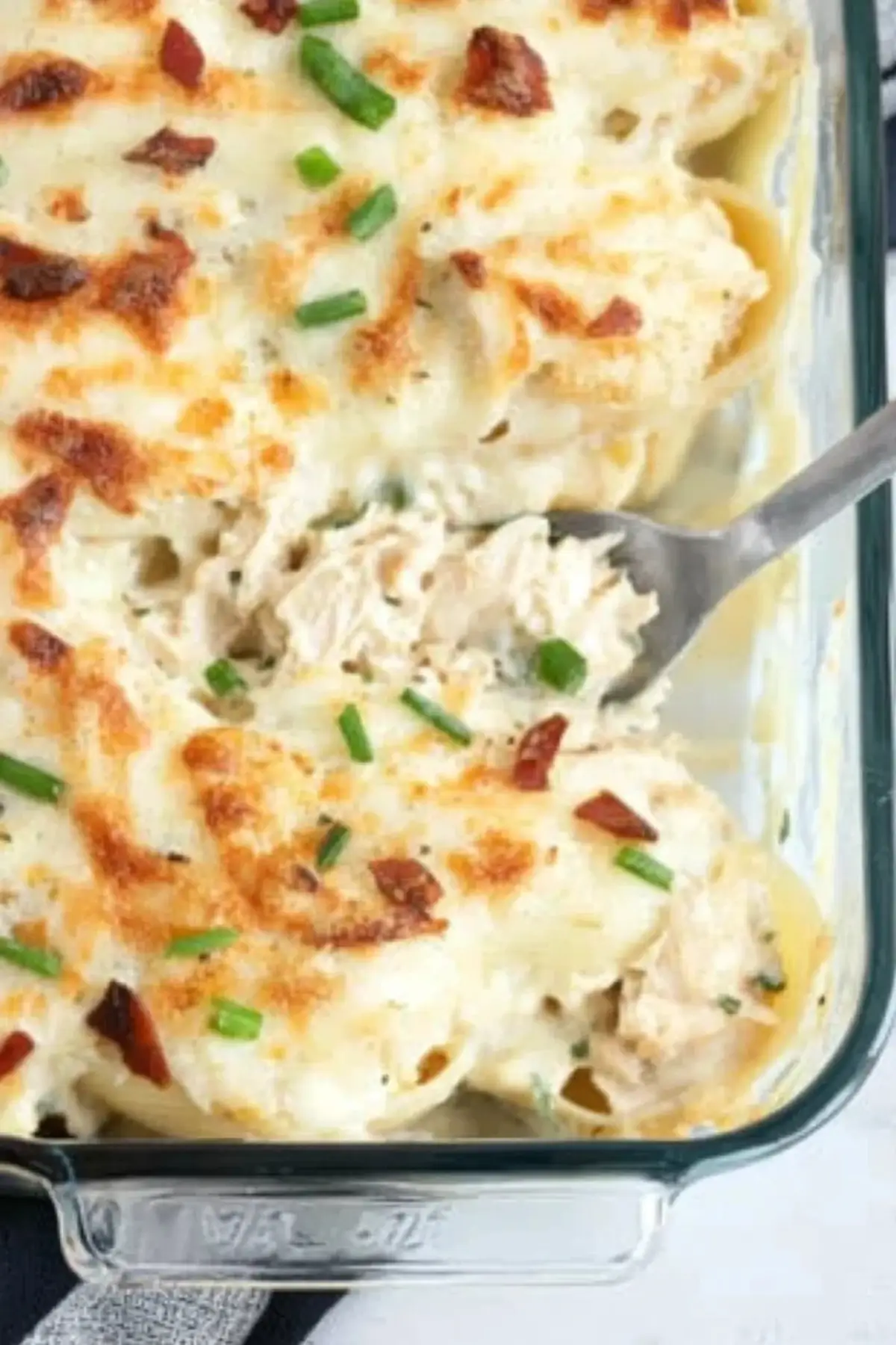 Chicken Alfredo Stuffed Shells
