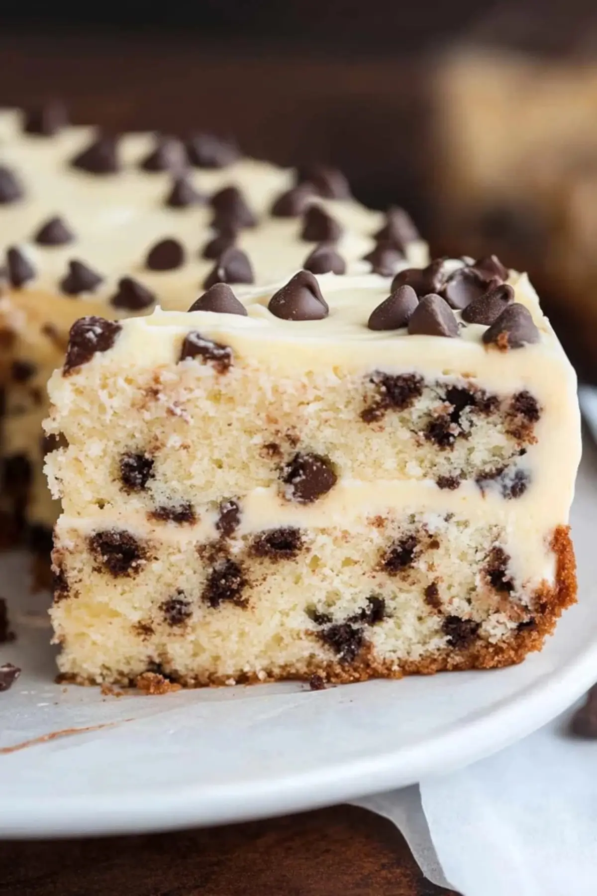 Chocolate Chip Cake