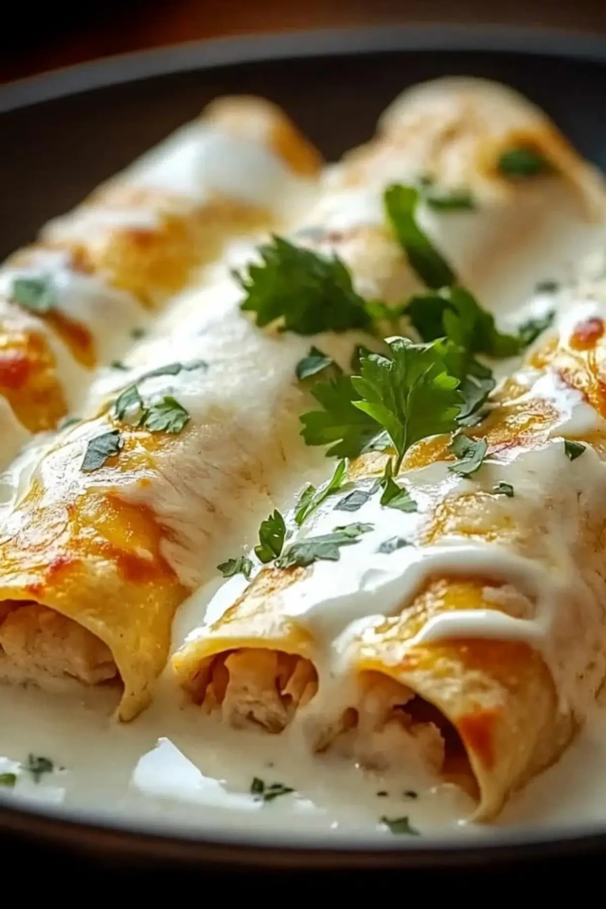 Delicious Chicken Enchiladas Sour and Cream White Sauce