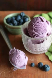 Homemade Blueberry Ice Cream