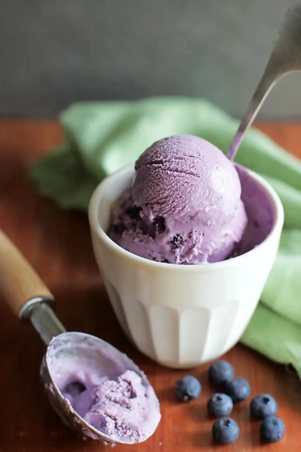 Homemade Blueberry Ice Cream