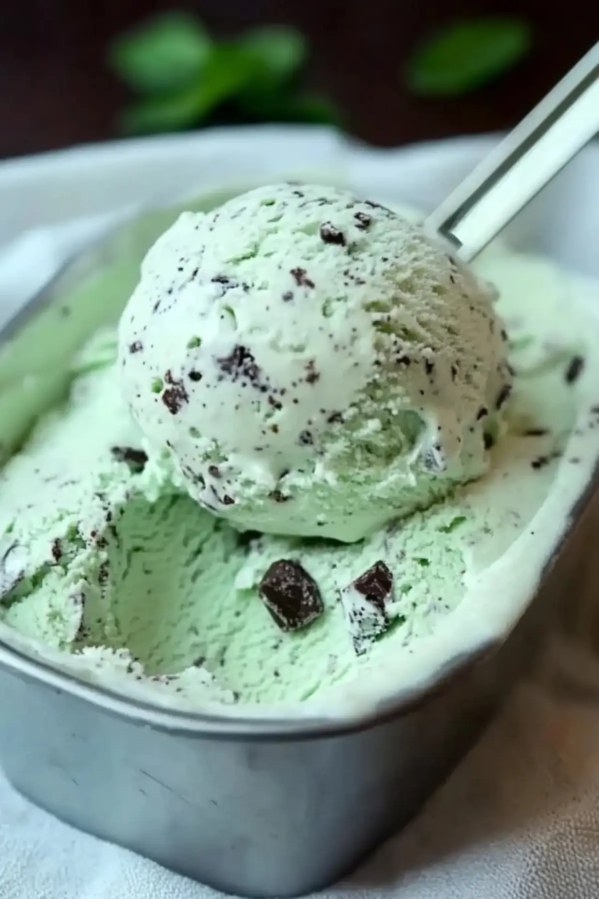 Mint Chocolate Chip Ice Cream