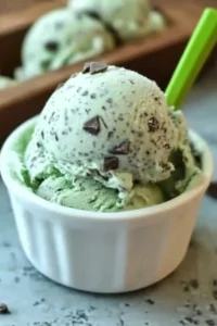 Mint Chocolate Chip Ice Cream