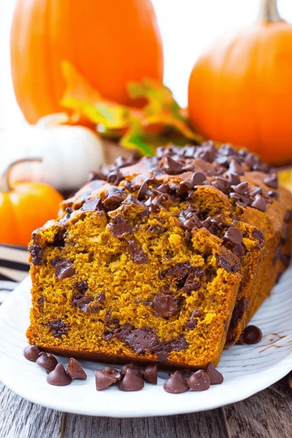 Chocolate Chip Pumpkin Bread