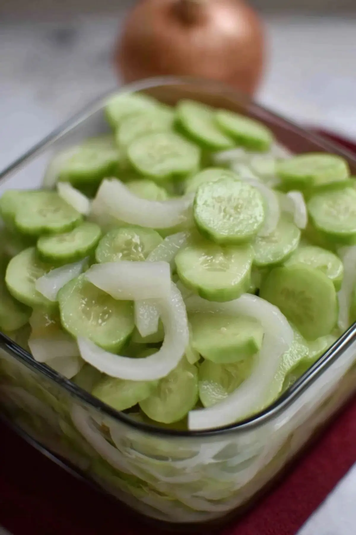 Cucumber and Onions in Vinegar