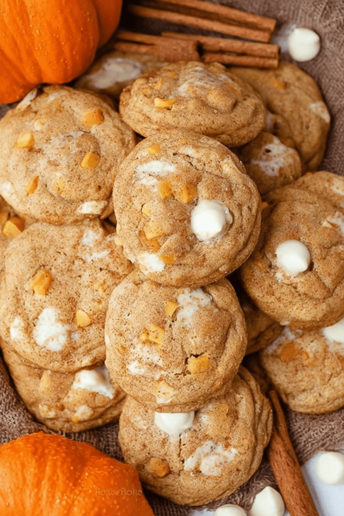 Pumpkin Spice Cookies