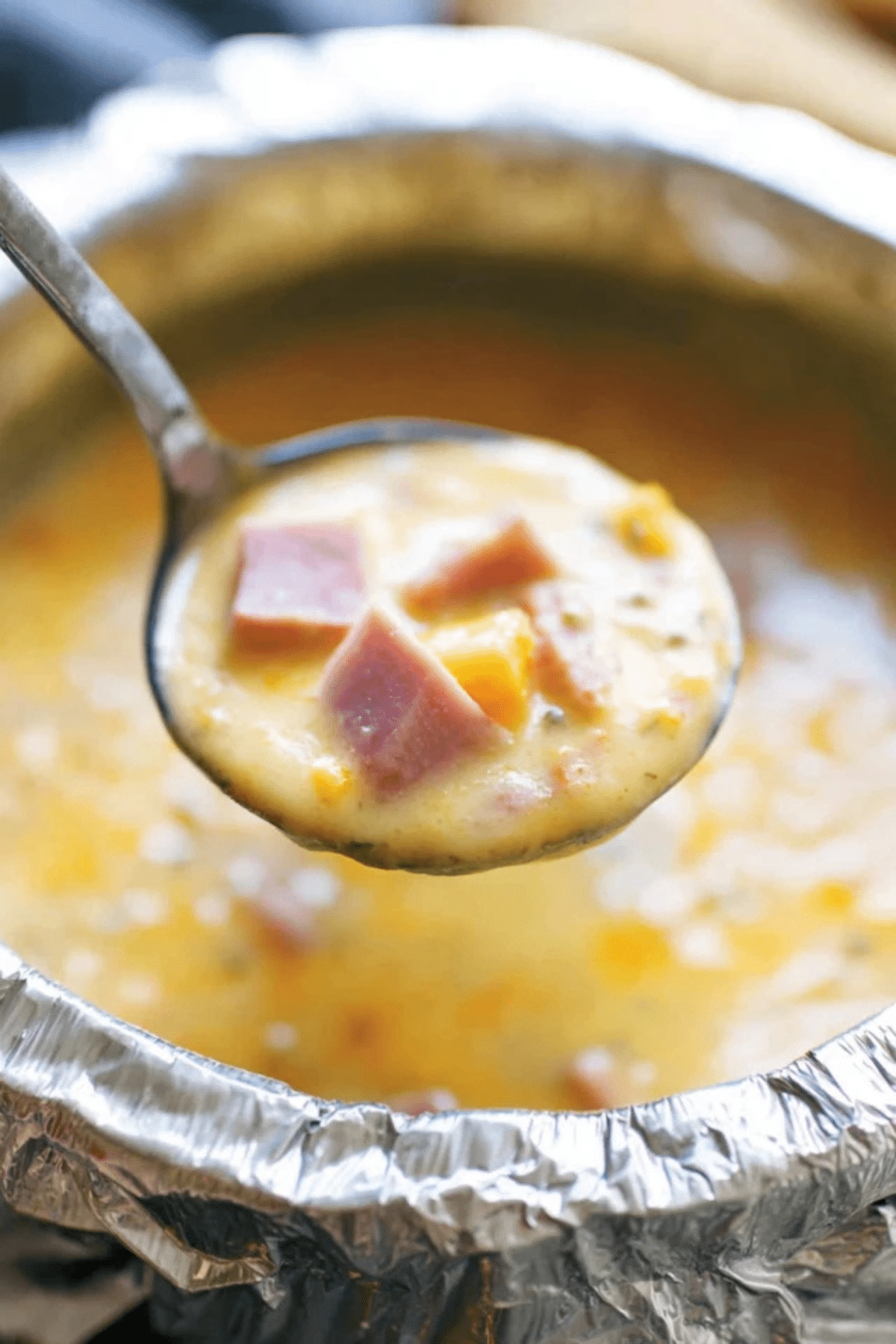 Slow Cooker Ham and Cheese Soup