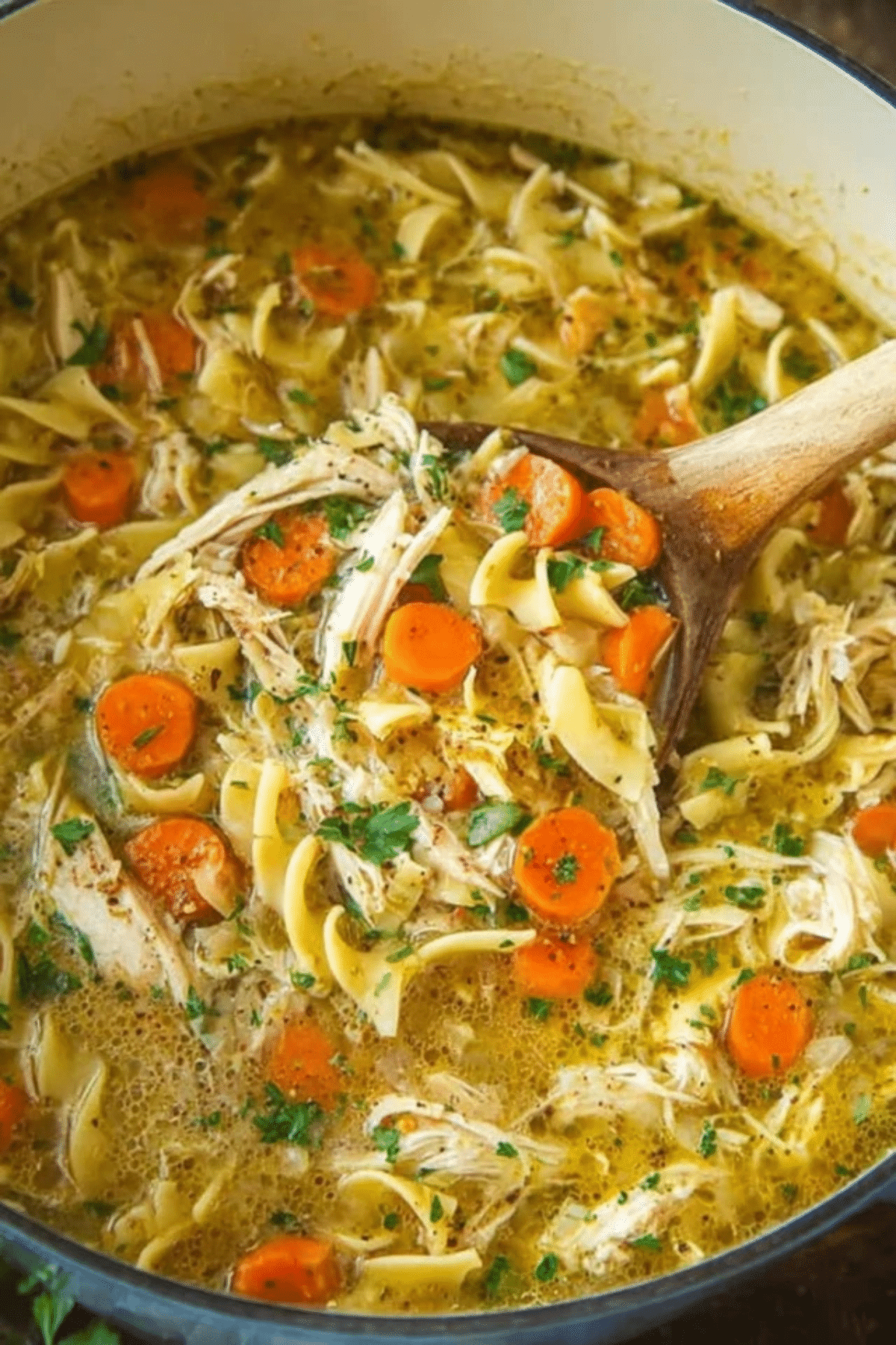 Chicken Noodle Soup with Egg Noodles
