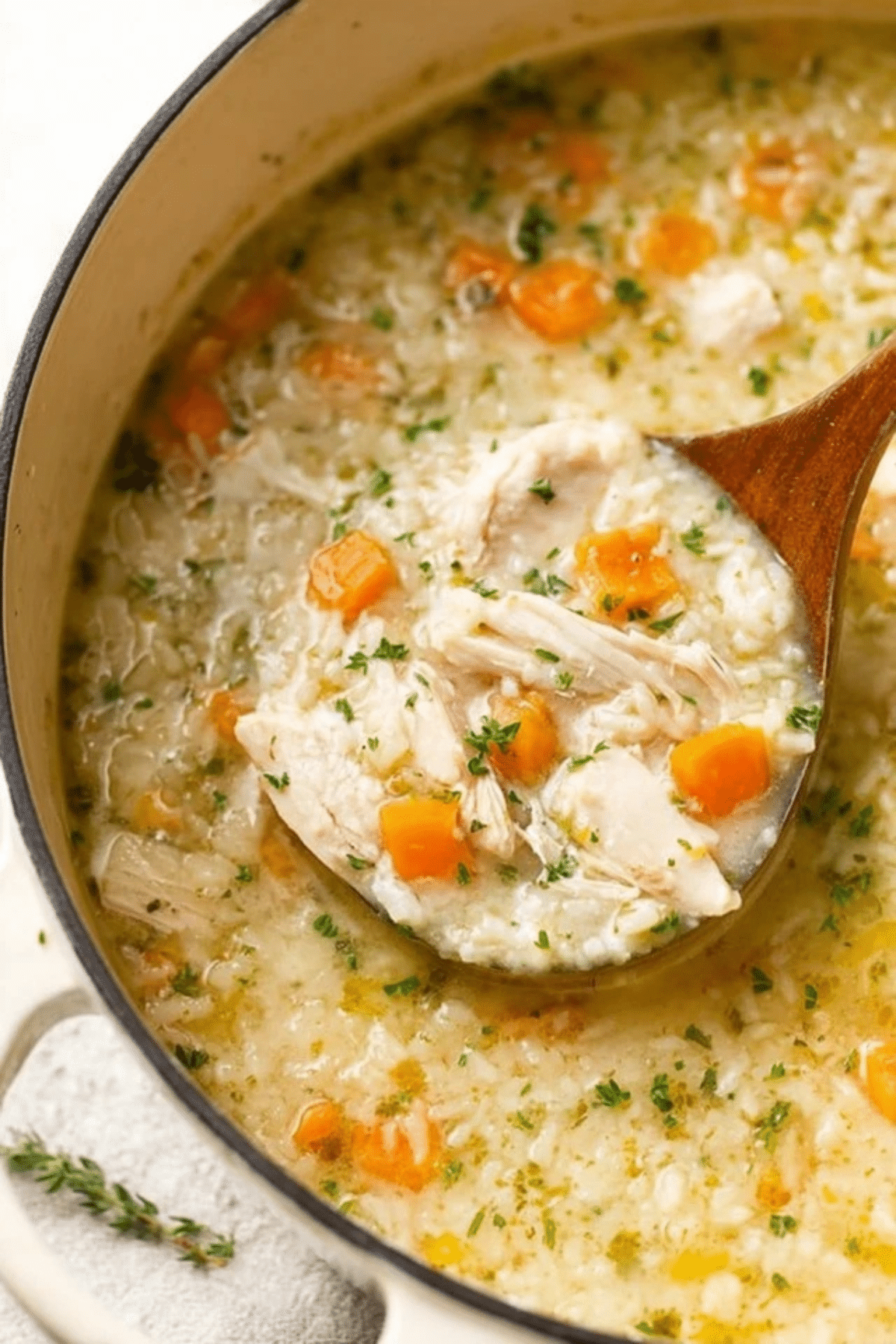 Chicken and Rice Soup