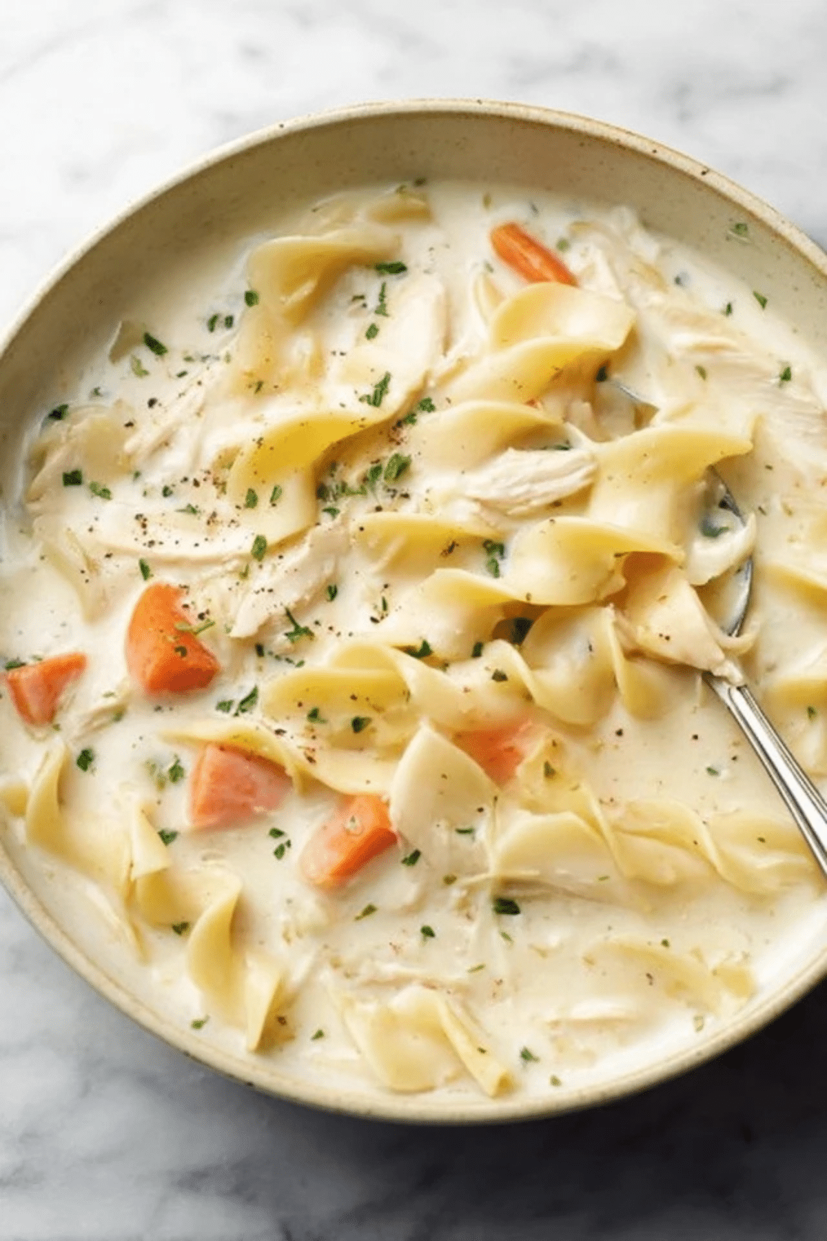 Creamy Chicken Noodle Soup