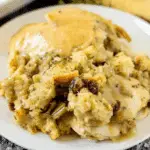 Crock Pot Chicken and Stuffing