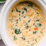 Crockpot Chicken Gnocchi Soup