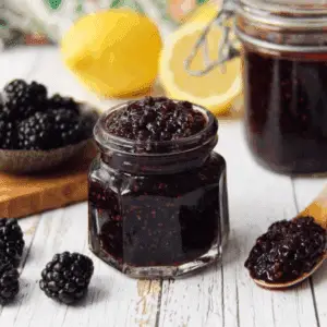 Blackberry Vanilla Bourbon Jam (2)