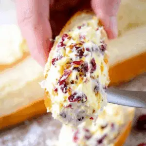 Cranberry Honey Butter (1)