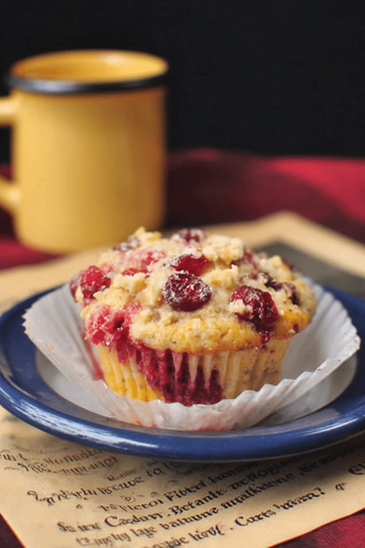 Cranberry and Orange Muffins