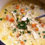 Creamy Chicken Vegetable Soup (1)