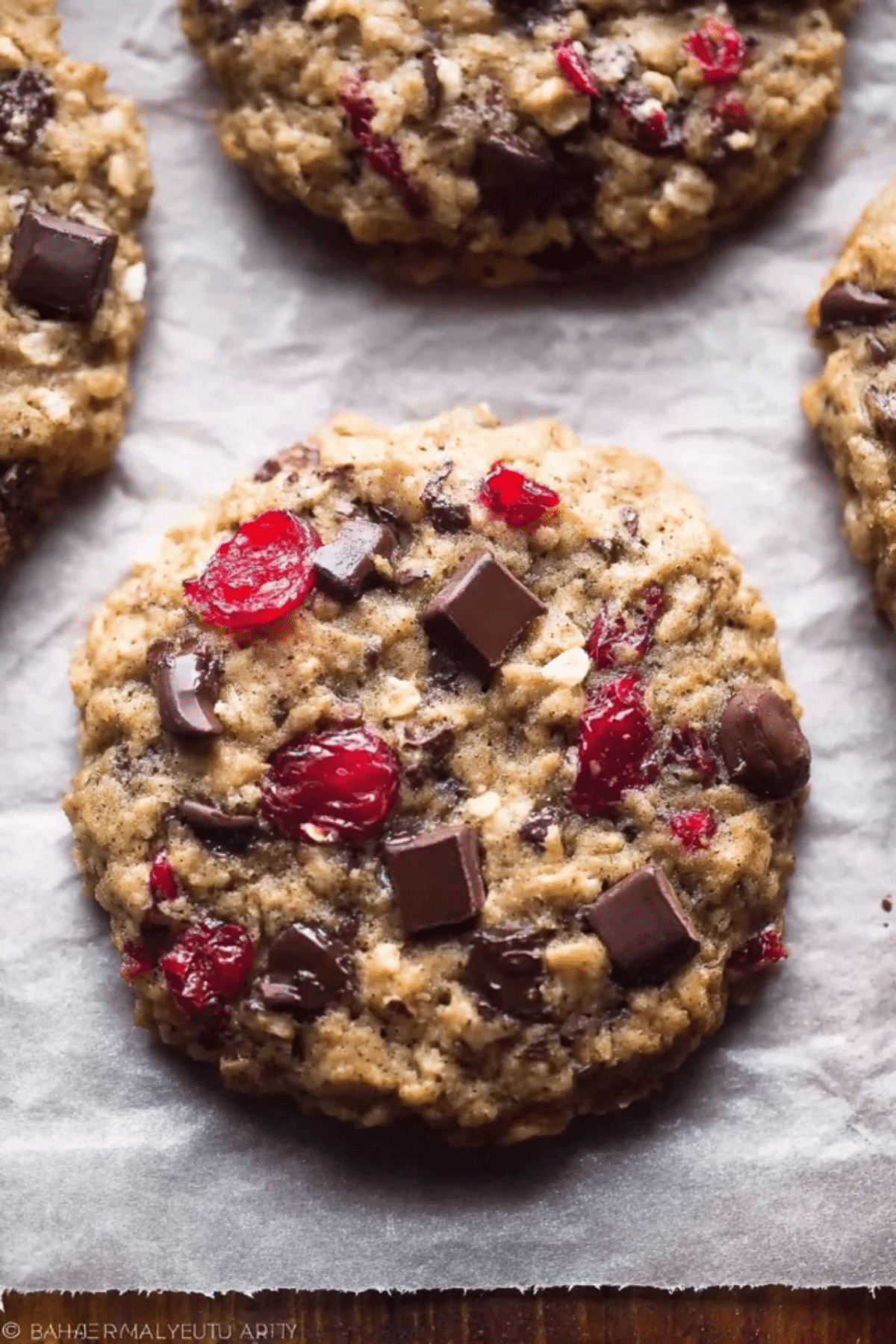 Dark Chocolate Cranberry Oatmeal Cookies (1)