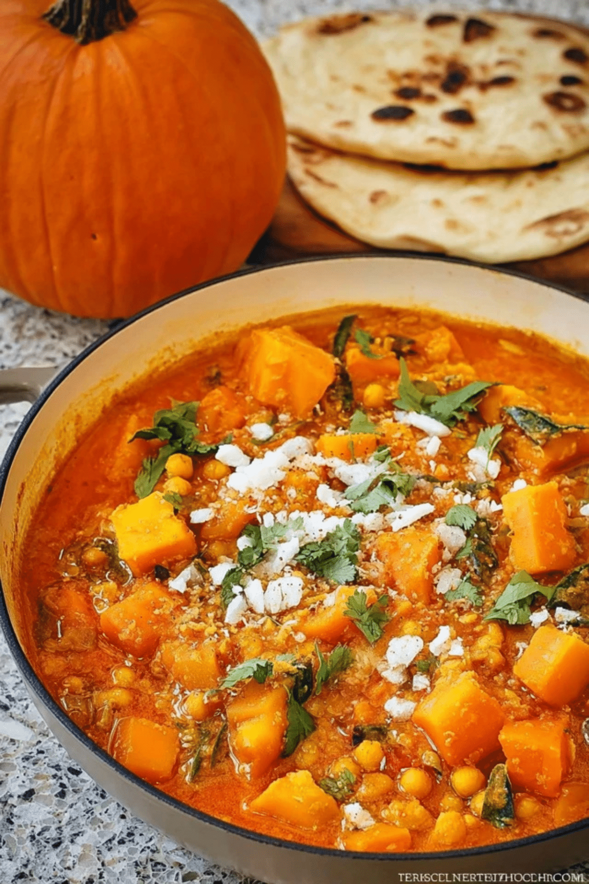 Pumpkin Curry (2)