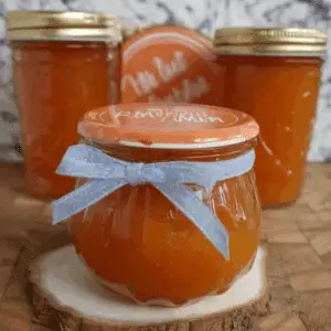 Pumpkin Pie Jam (3)