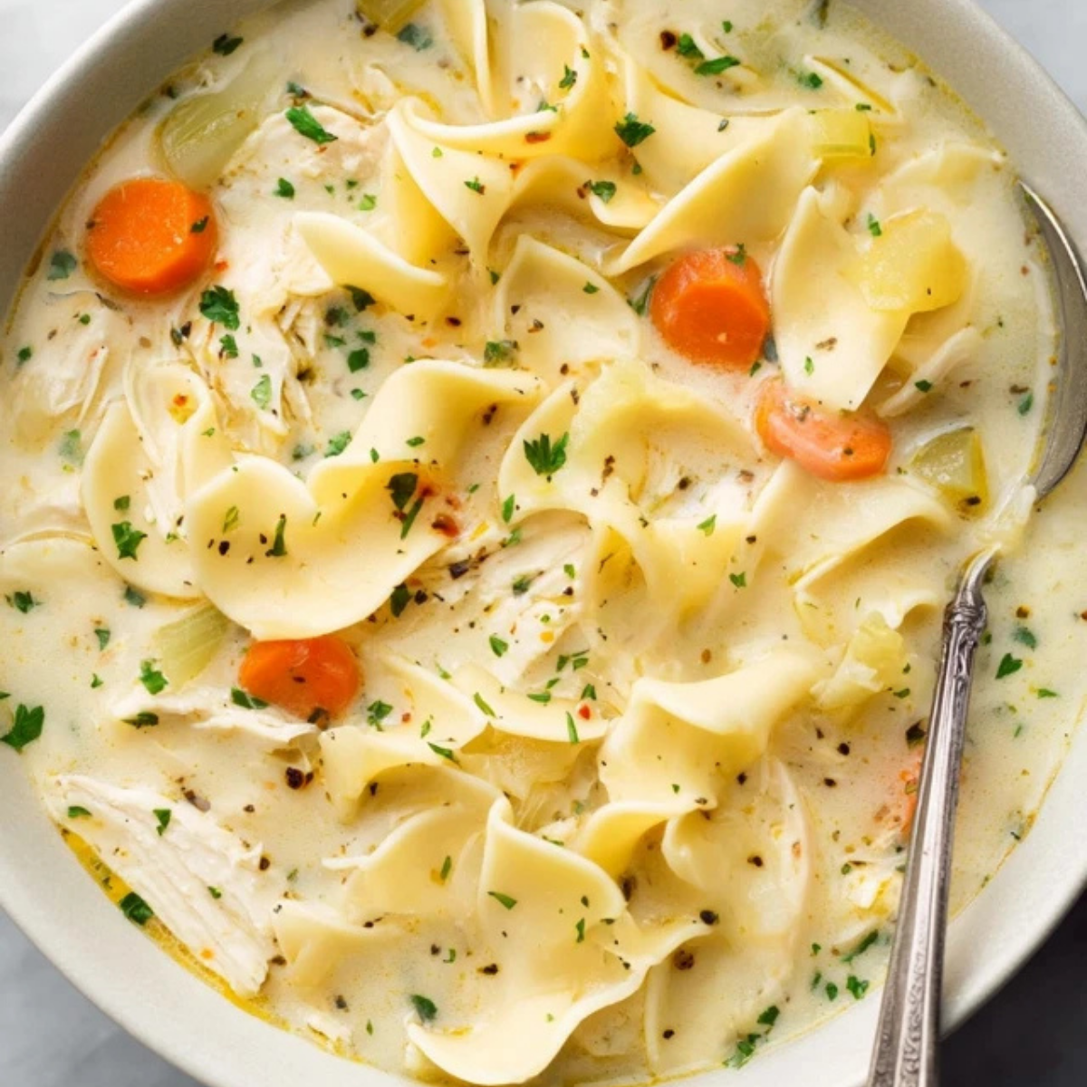 Chicken Noodle Soup