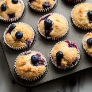 Blueberry Protein Muffins