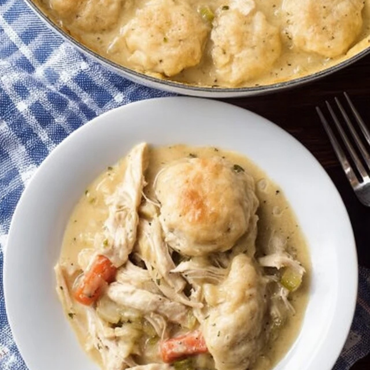 Chicken and Dumplings with Biscuits