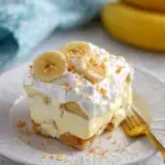 NO BAKE BANANA PUDDING DESSERT