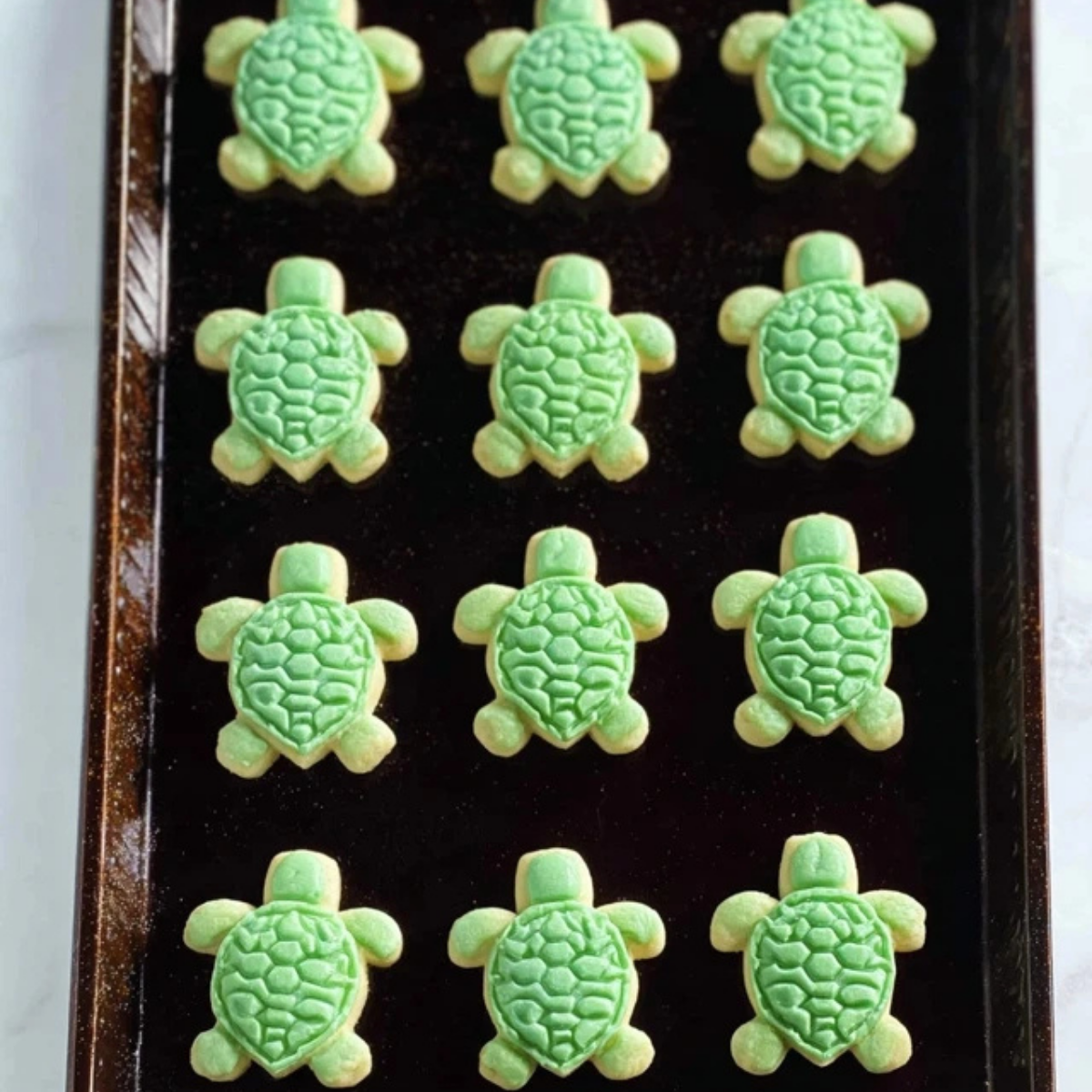 Turtle Sugar Cookies