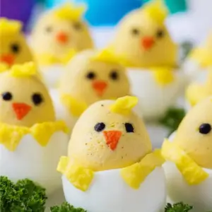 Deviled Egg Chicks