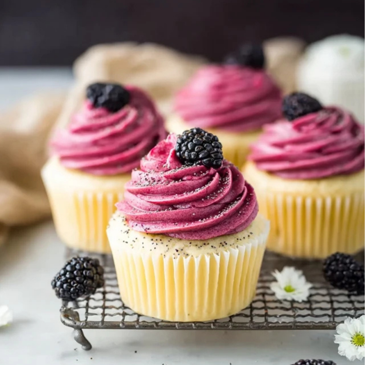 Lemon Poppy Seed Cupcakes with Blackberry Frosting