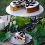 Mulberry Almond Cake