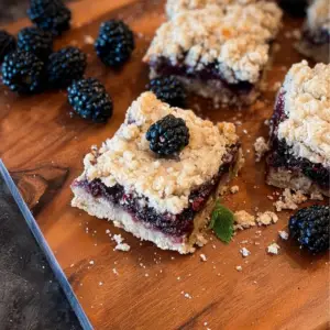 Mulberry Crumble Bars