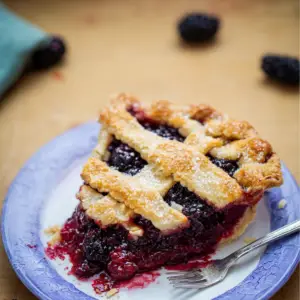 Mulberry Pie