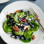 blueberry spinach salad with honey balsamic dressing