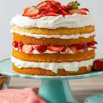 Strawberry Shortcake Cake