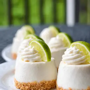 Mini No Bake Key Lime Pie