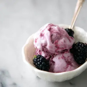 Mulberry Ice Cream
