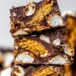 No Bake S’mores Bars
