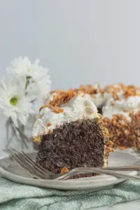 A slice of Holy Cow Cake with whipped cream and Butterfinger pieces on a plate