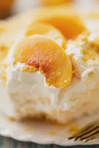 Close-up of a slice of peaches & cream dessert on a plate with fresh peaches and mint garnish